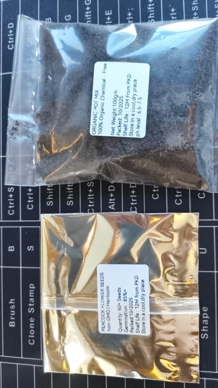 Peacock Flower Bulbs — Plant hope, watch splendor bloom!🌸🌸