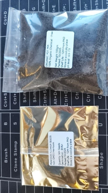 Peacock Flower Bulbs — Plant hope, watch splendor bloom!🌸🌸