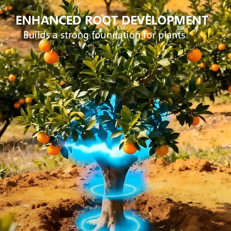 Controlled-Release Fertilizer for Fruits