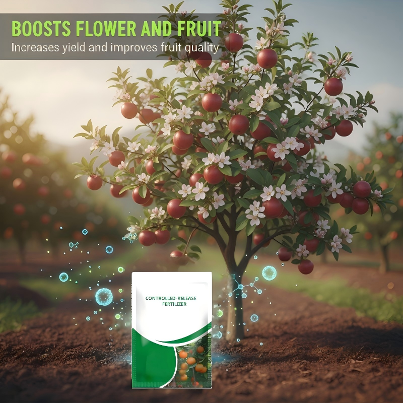 Controlled-Release Fertilizer for Fruits